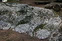 Kvaernstensparken038