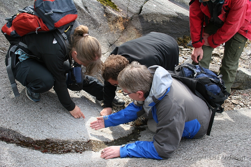 Otringsneset036.JPG - Geologerne kastede sig over skiferen og diskuterede de indlejrede krystaller. Fra venstre Gurli Meyer, Øystein jansen, Tom heldal og (uden hoved) Tor Grenne.